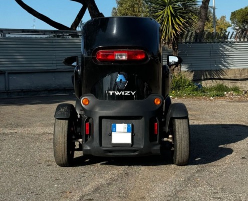 Twizy (1)