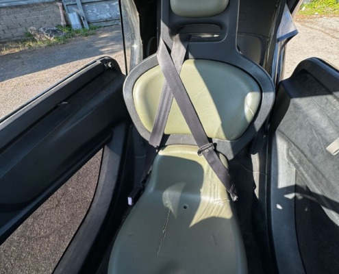 Twizy (4)