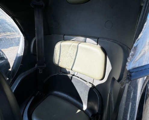 Twizy (5)